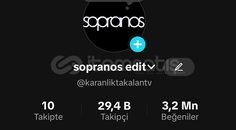 30K Takipçili Tiktok. 3.2 Milyon Beğeni