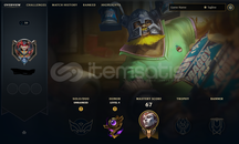 30lvl unranked elle handmade