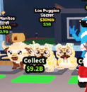 30m Los puggies [SAB]