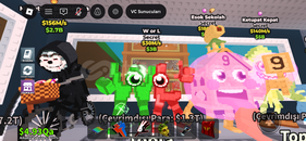 30m/s W or L limited pet