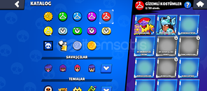 30RT pinli hesap