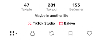 31 LEVEL TİKTOK HESABI