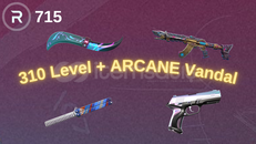 ⭐310 Level + ARCANE Vandal + 715 Radyanit⭐