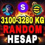 3100-3280 KG GÜMÜŞ RANDOM
