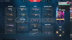 311 LEVEL,ASİL VANDAL,YAĞMACI OPERATÖR, SHERİF