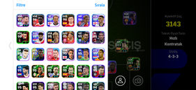 3141 KG TEK BAĞ TERTEMİZ HESAP