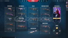 315 SEVİYE 10 YÜKSELTİLEBİLİR VANDALLI HESAP