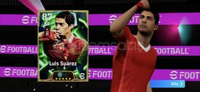 3160-3180KG ÖLÜ FİYATTAN 3160-3180KG ÖLÜ FİYATTAN