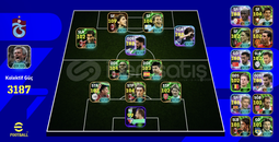 3187 110 İBRAHİMOVİC