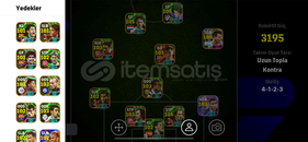 3195 KG TEK BAĞ SAĞLAM HESAP