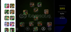 3195KG 110 İBRAHİMOVİÇ VE 105 ABBİATİ MAİNLİK