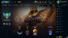 320 SEVİYE LOL HESABI+VALORANT BİÇAK TR