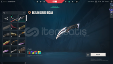 3200TL YATIRILMIŞ ONİ KATANALI TR SERVER MAİLLİ