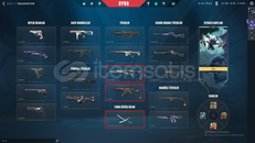 3200TL YATIRILMIŞ ONİ KATANALI TR SERVER MAİLLİ