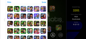 3201 KG MAINLIK HESAP 