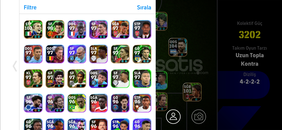 3202 KG MAİNLİK NADİR HESAP 