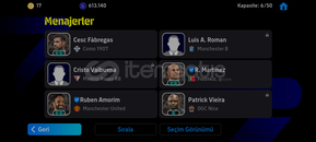 3203 KG Tek Bağ Dolu Güzel Hesap