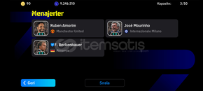 3203 özel kartlar vardır 