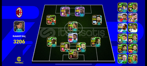 3206kg bir çok özel oyunculu tek bağ