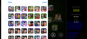 3210 MAX KOLEKTİF PELELİ HESAP