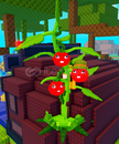 ⭐321K! DAMAGE⭐ 6.5Kg Tomatrio Plant Vs Brainrots