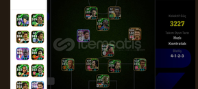 3227 kg 107 peleli tek bağ hesap