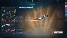 33 PREMİUM+CHAMPİONS 25 SETT