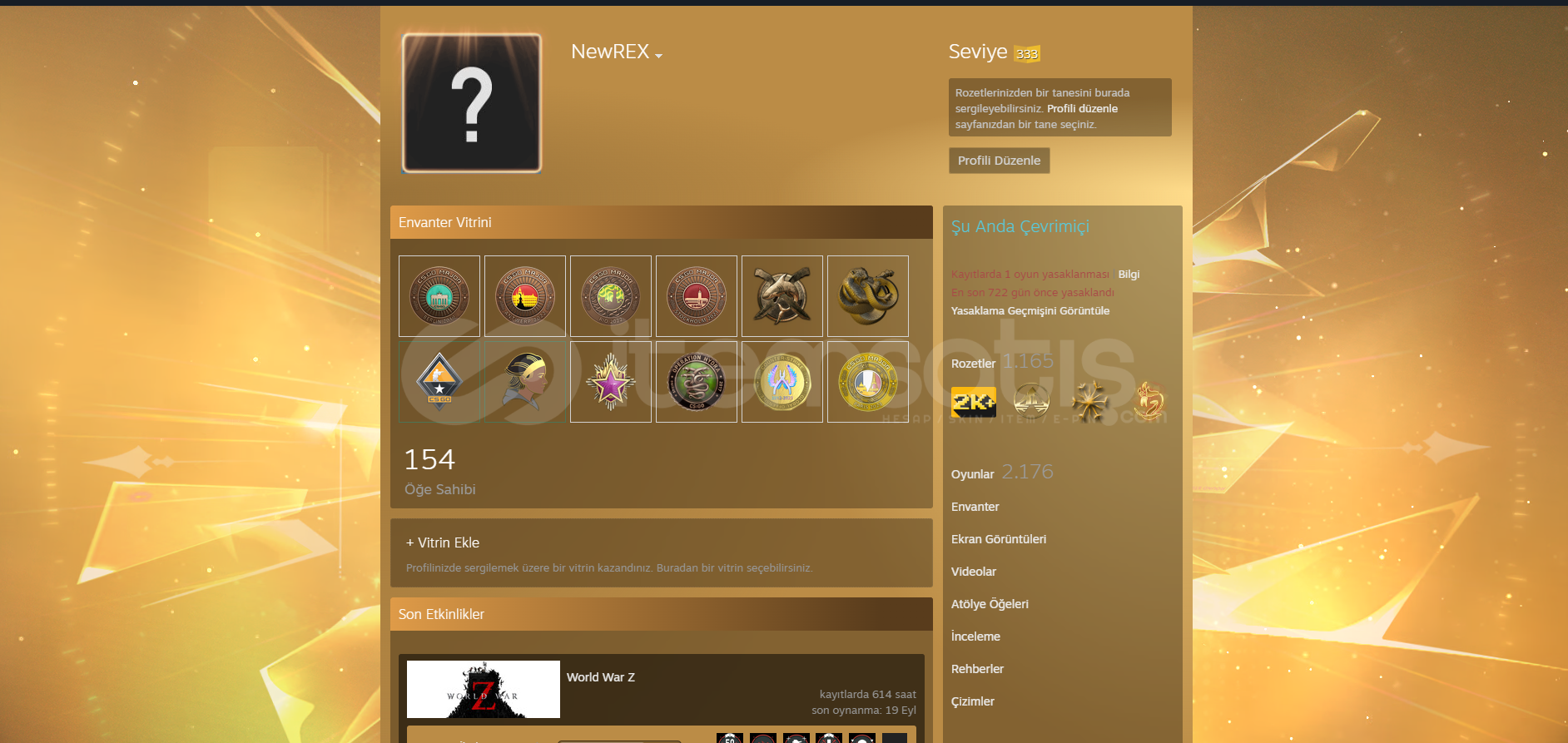 333 LEVEL 2176 OYUNLU MAINLIK HESAP  333 LEVEL 2176 OYUNLU MAINLIK HESAP