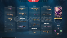 33850 Vp Yatırılmış hesap