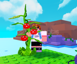 35 adet tomatrio PvB