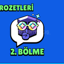 35 RANK PINLI HESAPLARINIZI ALIYORUM.