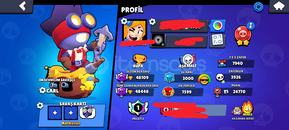 35 RANK + PRESTİJ SMURF HESAP