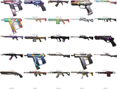 35 Skin, 11350 VP ENVANTER