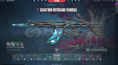  SKİN 4 VANDALLI FULL ANOMALİ SETLİ 900VPLİ