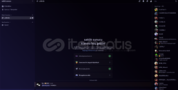 350 Aktif Üyeli Discord Sunucusu 