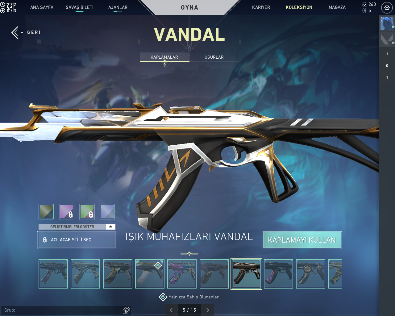 Vandal Vixen