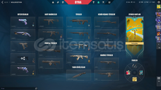 3550VP YATIRILMIŞ EFSANE MAİLLİ HESAP