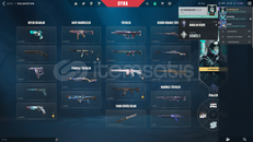 35k vp lik main hesap