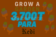 ⭐3.7T Para Hızlı Teslimat