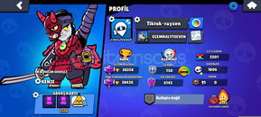 38 k 80 karakter mail değişir 