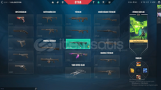 38 LvL TR Sunucu Gold Epic Değerinde Hesap