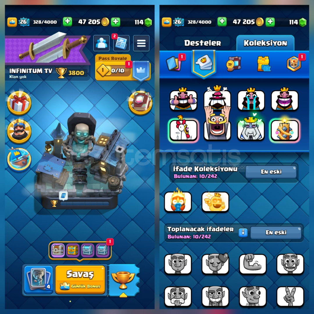 3800Kupa 96Kart 10İfade İsimHakkı 3800Kupa 96Kart 10İfade İsimHakkı