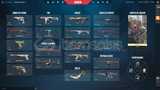 396 level gold 3 bol skinli hesap