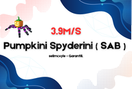 3.9M/S Secret Pumpkini Spyderini 3.9M/S Secret Pumpkini Spyderini