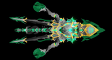 3x kraken