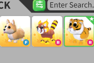 3x Pet Paketi En Uygunu! 3x Pet Paketi En Uygunu!