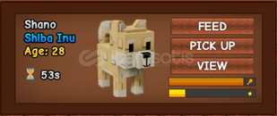 4x shiba uni
