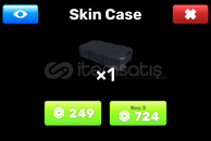 3x Skin Case | RIVALS