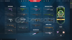 ✨4 Bıçaklı + 5 Vandal Koleksiyonluk Hesap✨