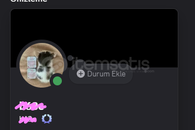 4 haneli nick + 1 dekorasyonlu discord acc